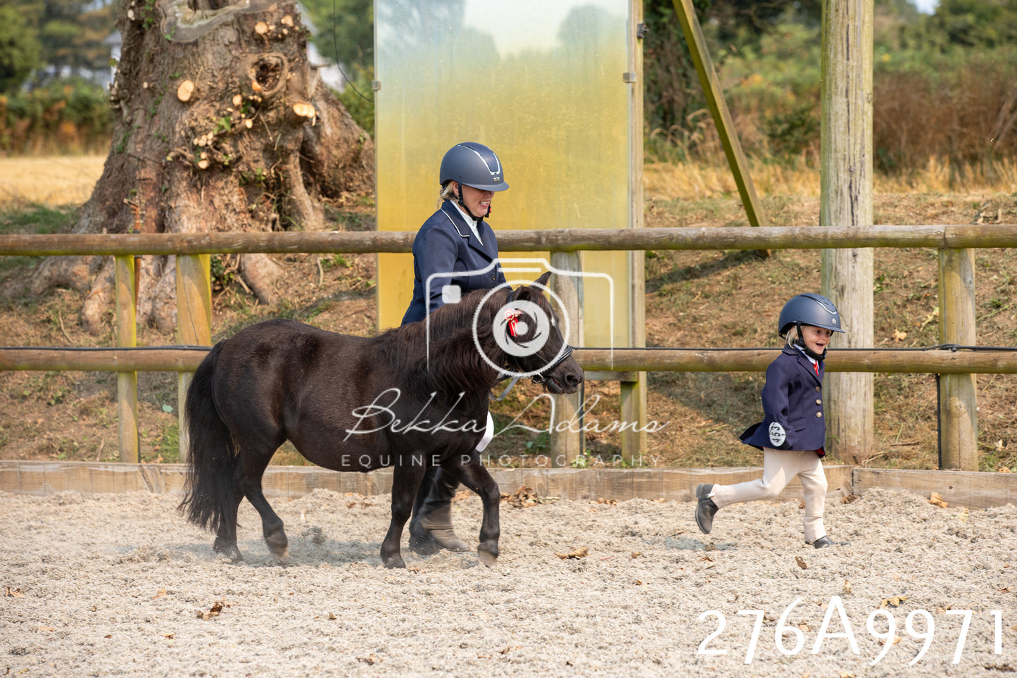 Home Farm Annual Show 2025 - Inhand Pt 2