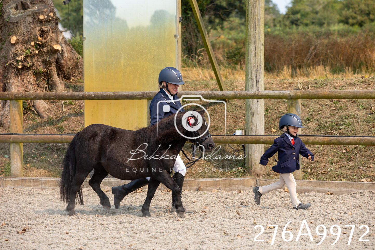 Home Farm Annual Show 2025 - Inhand Pt 2