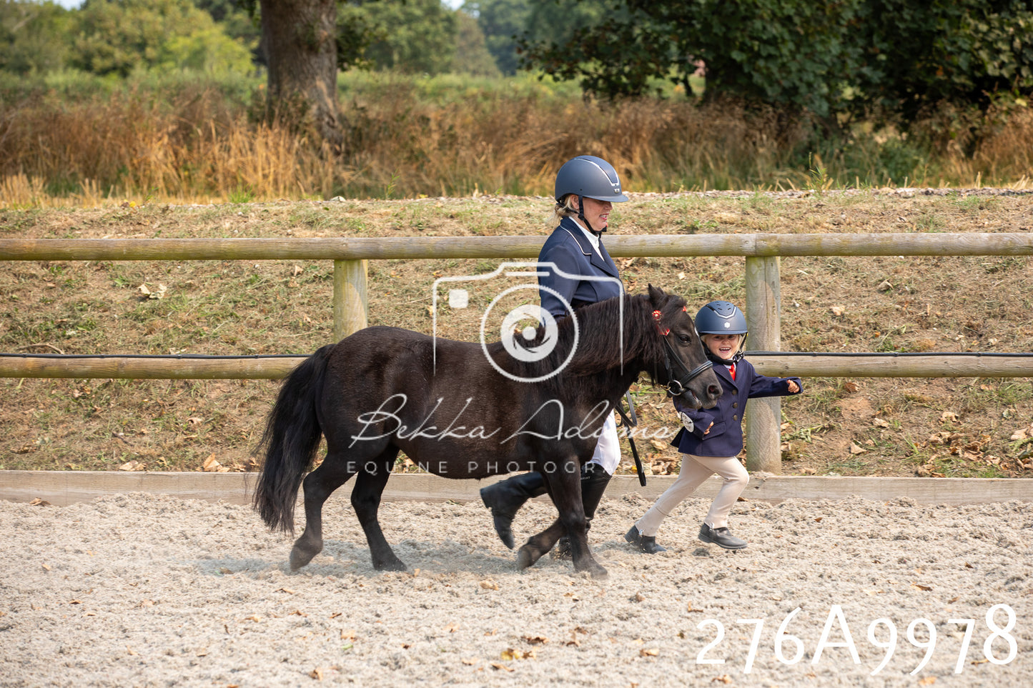 Home Farm Annual Show 2025 - Inhand Pt 2