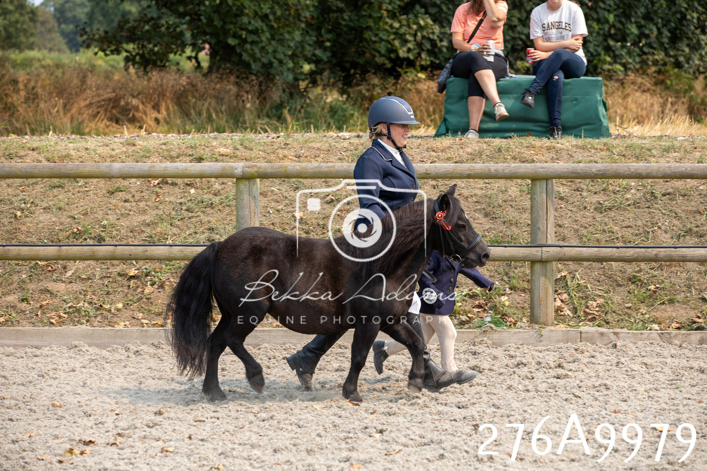 Home Farm Annual Show 2025 - Inhand Pt 2