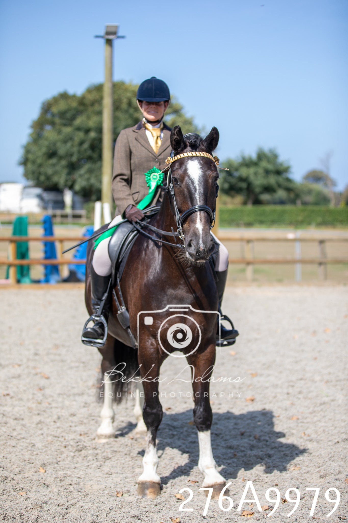 Home Farm Annual Show 2025 - Ridden Pt 2