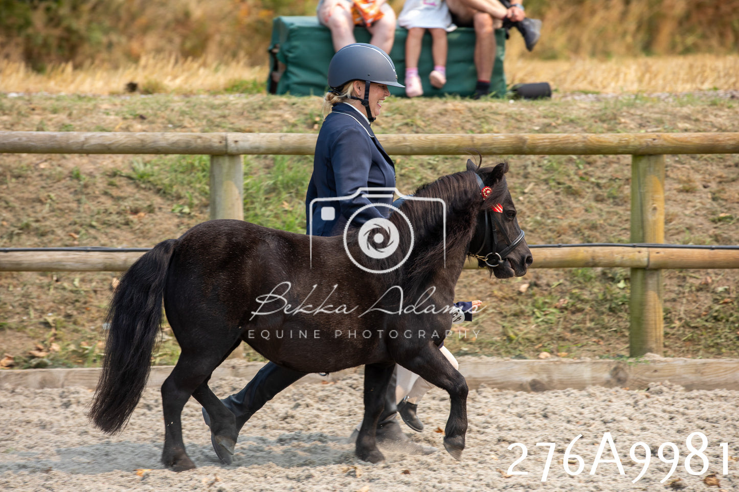 Home Farm Annual Show 2025 - Inhand Pt 2