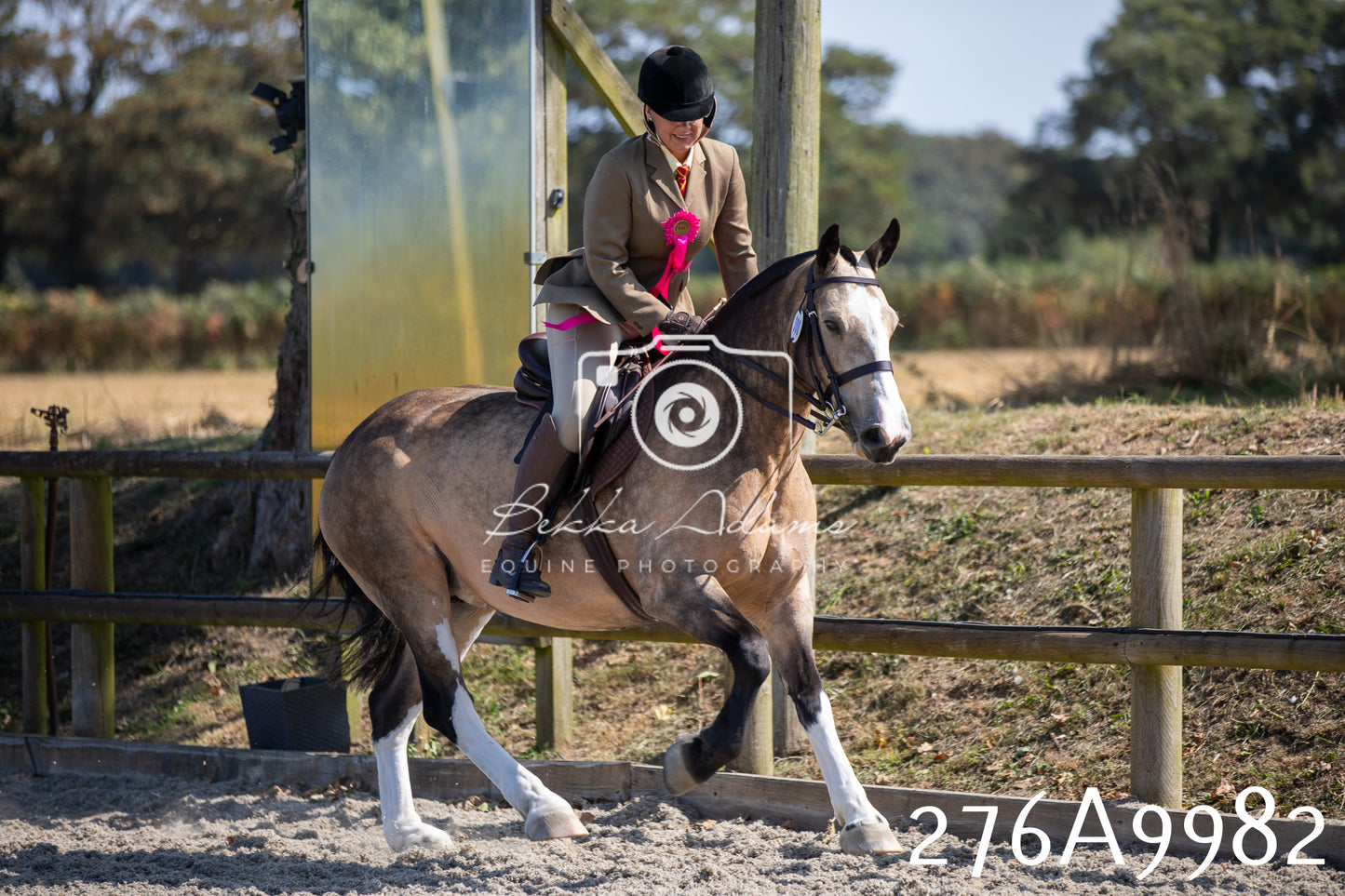 Home Farm Annual Show 2025 - Ridden Pt 2