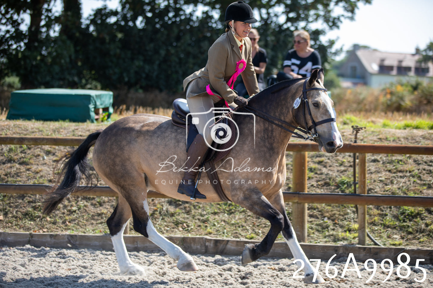 Home Farm Annual Show 2025 - Ridden Pt 2