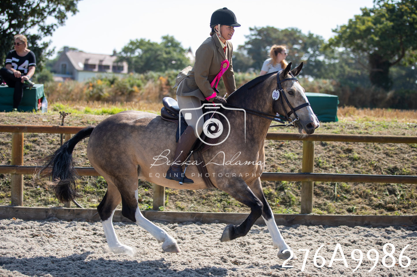 Home Farm Annual Show 2025 - Ridden Pt 2