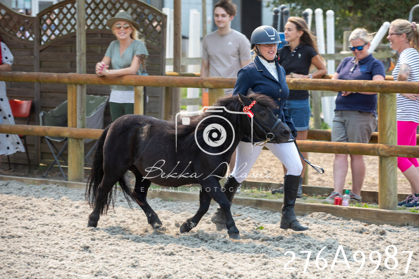 Home Farm Annual Show 2025 - Inhand Pt 2