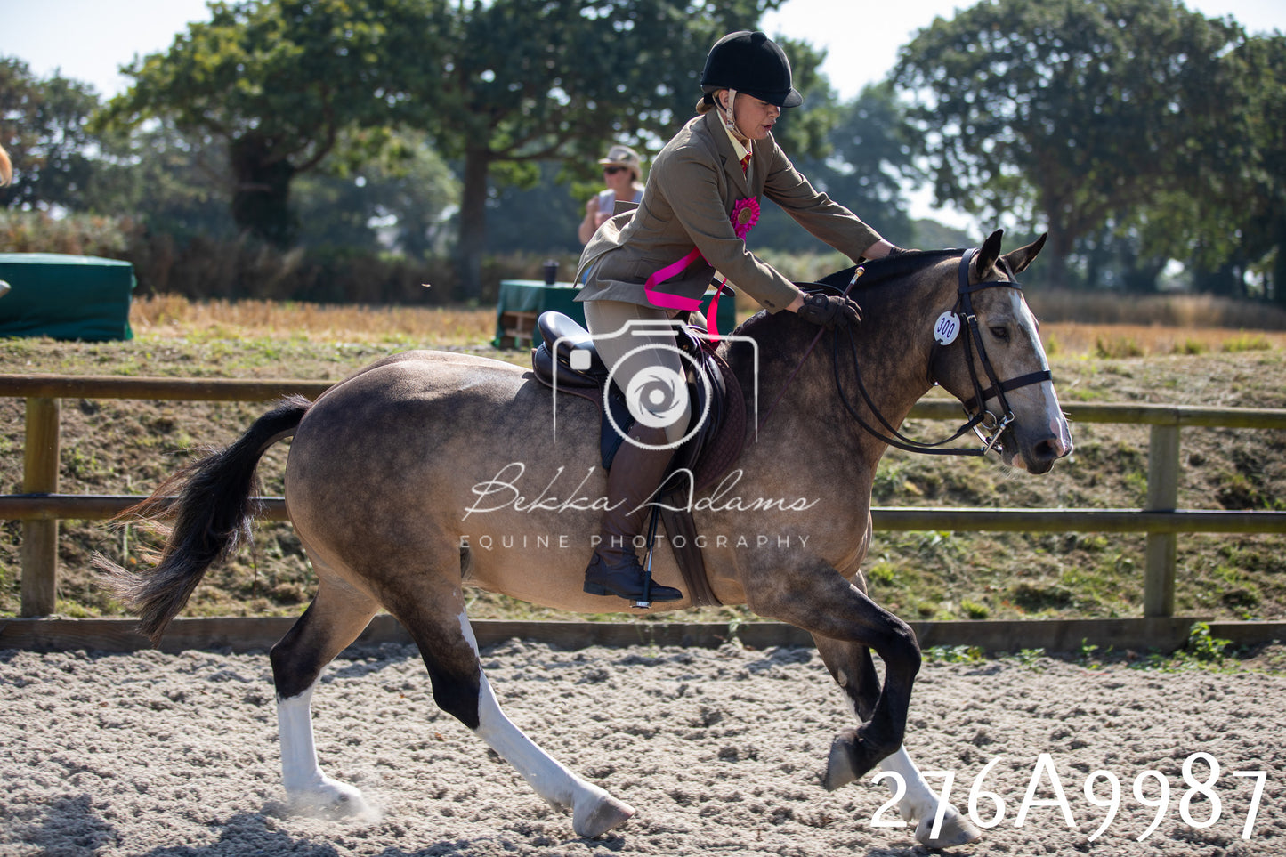 Home Farm Annual Show 2025 - Ridden Pt 2