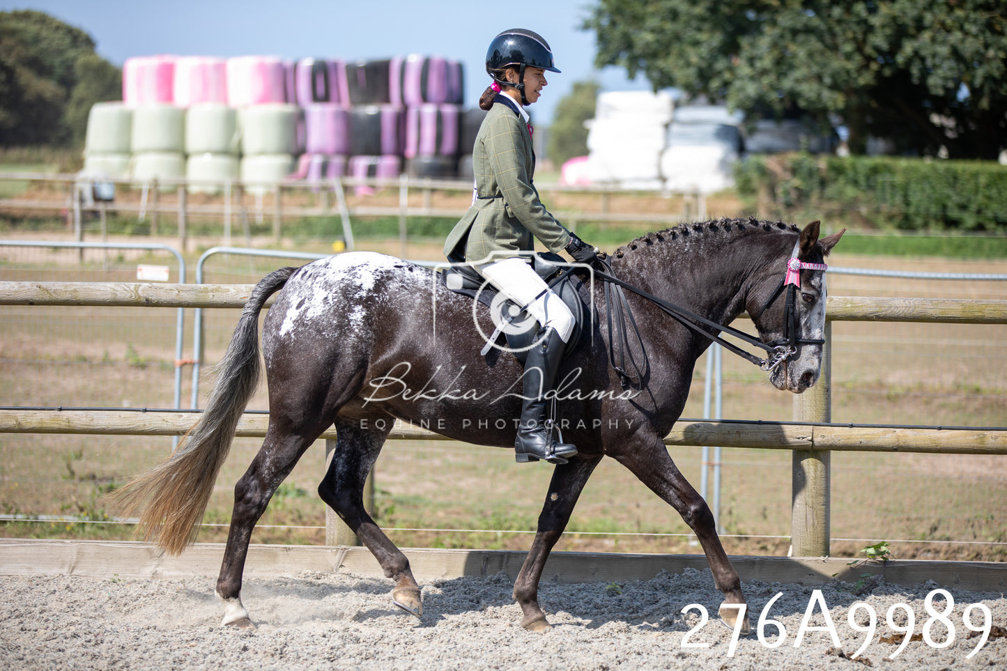 Home Farm Annual Show 2025 - Ridden Pt 2