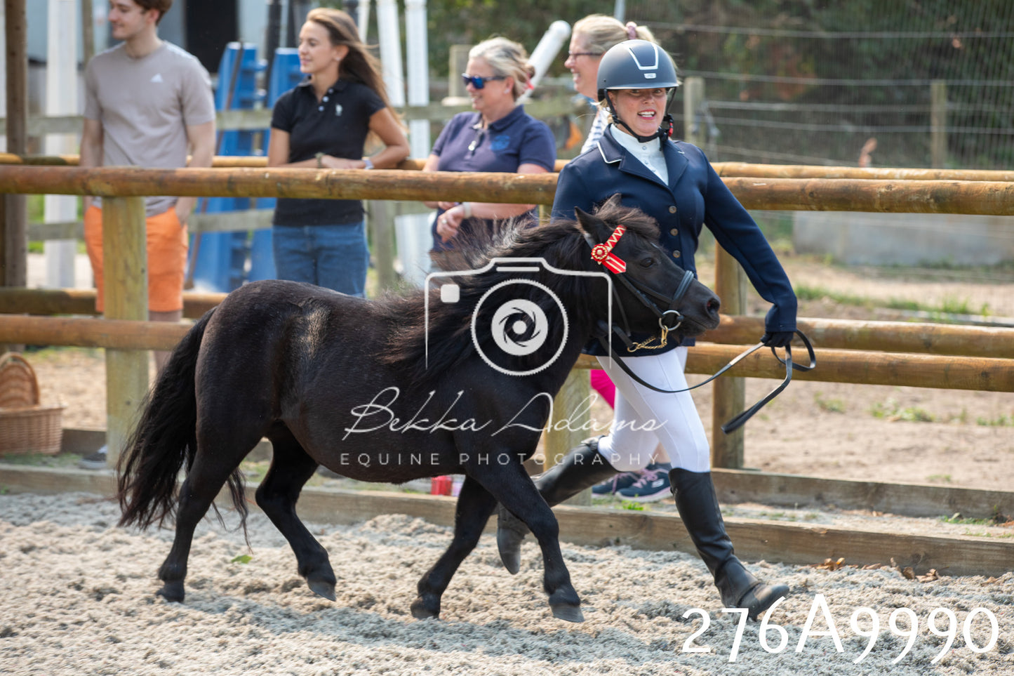 Home Farm Annual Show 2025 - Inhand Pt 2