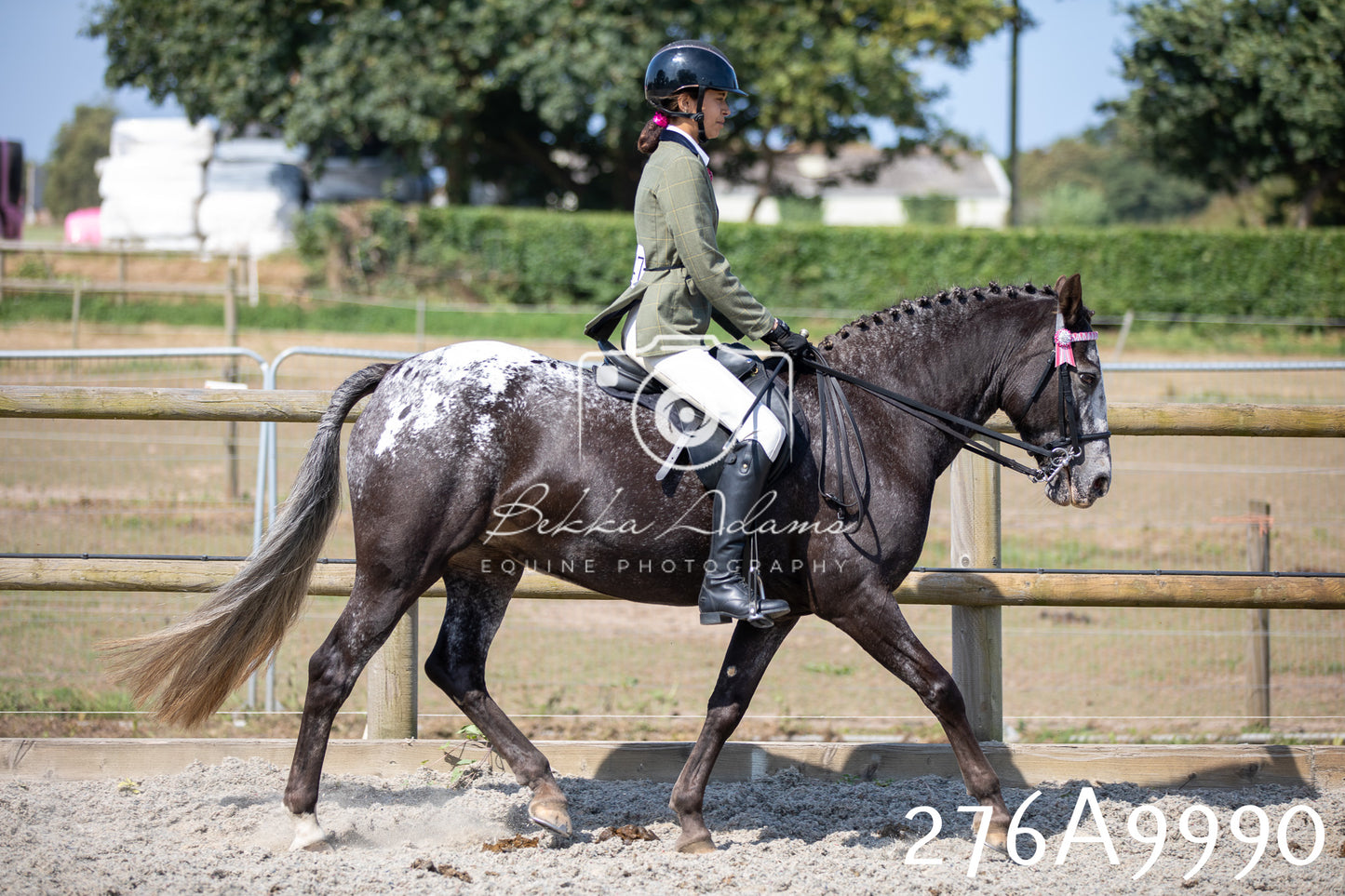 Home Farm Annual Show 2025 - Ridden Pt 2
