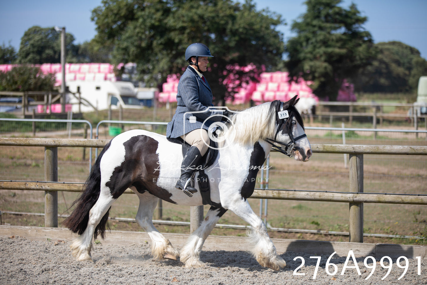 Home Farm Annual Show 2025 - Ridden Pt 2