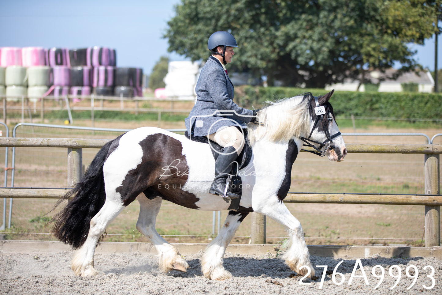 Home Farm Annual Show 2025 - Ridden Pt 2