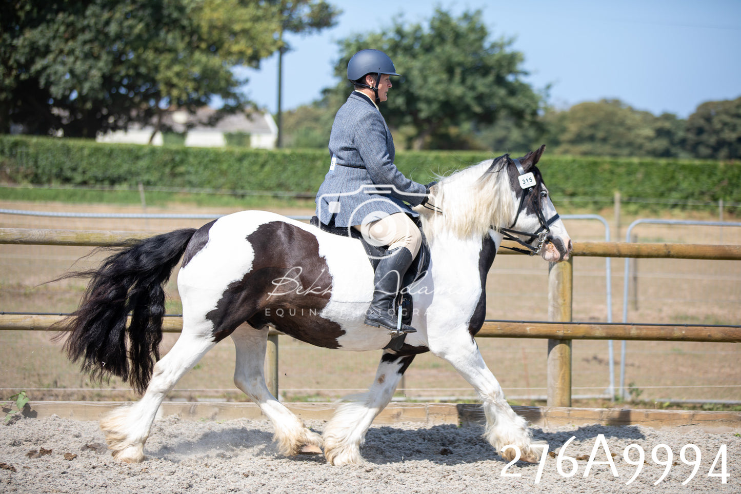 Home Farm Annual Show 2025 - Ridden Pt 2