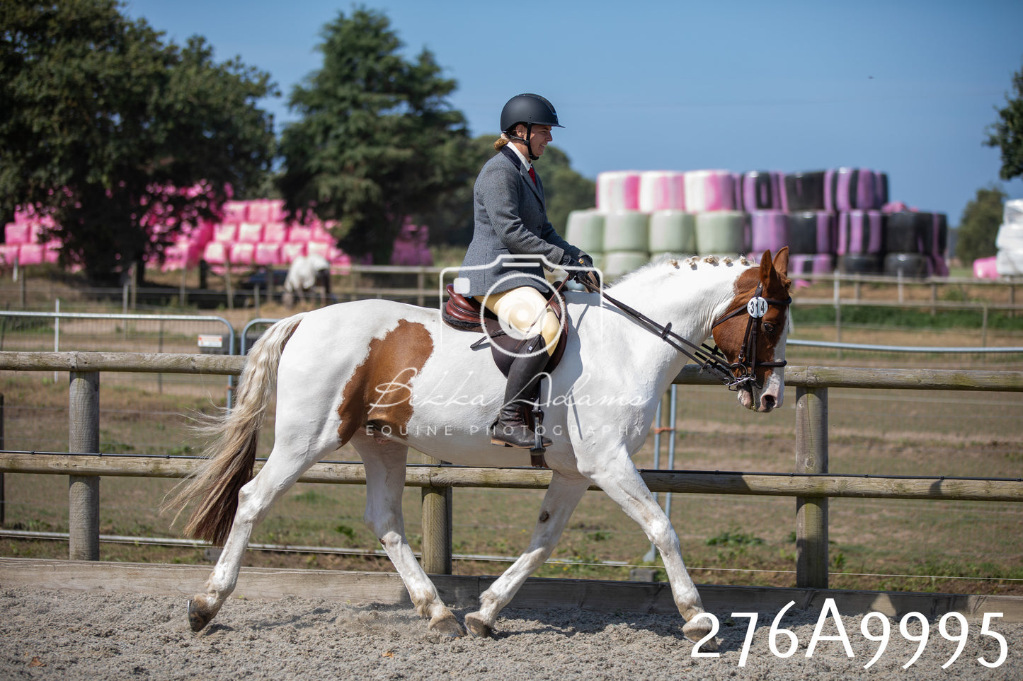 Home Farm Annual Show 2025 - Ridden Pt 2