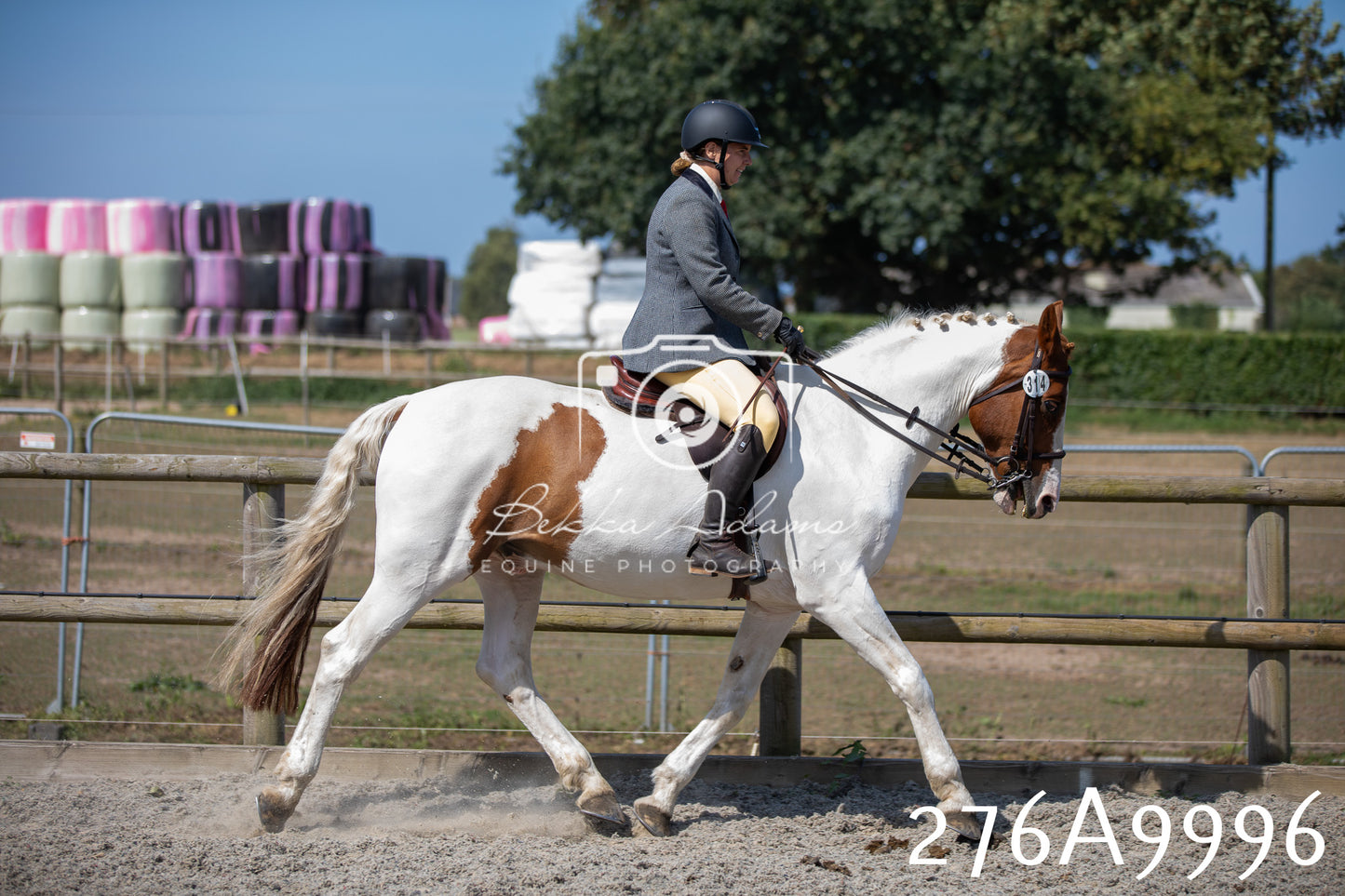 Home Farm Annual Show 2025 - Ridden Pt 2