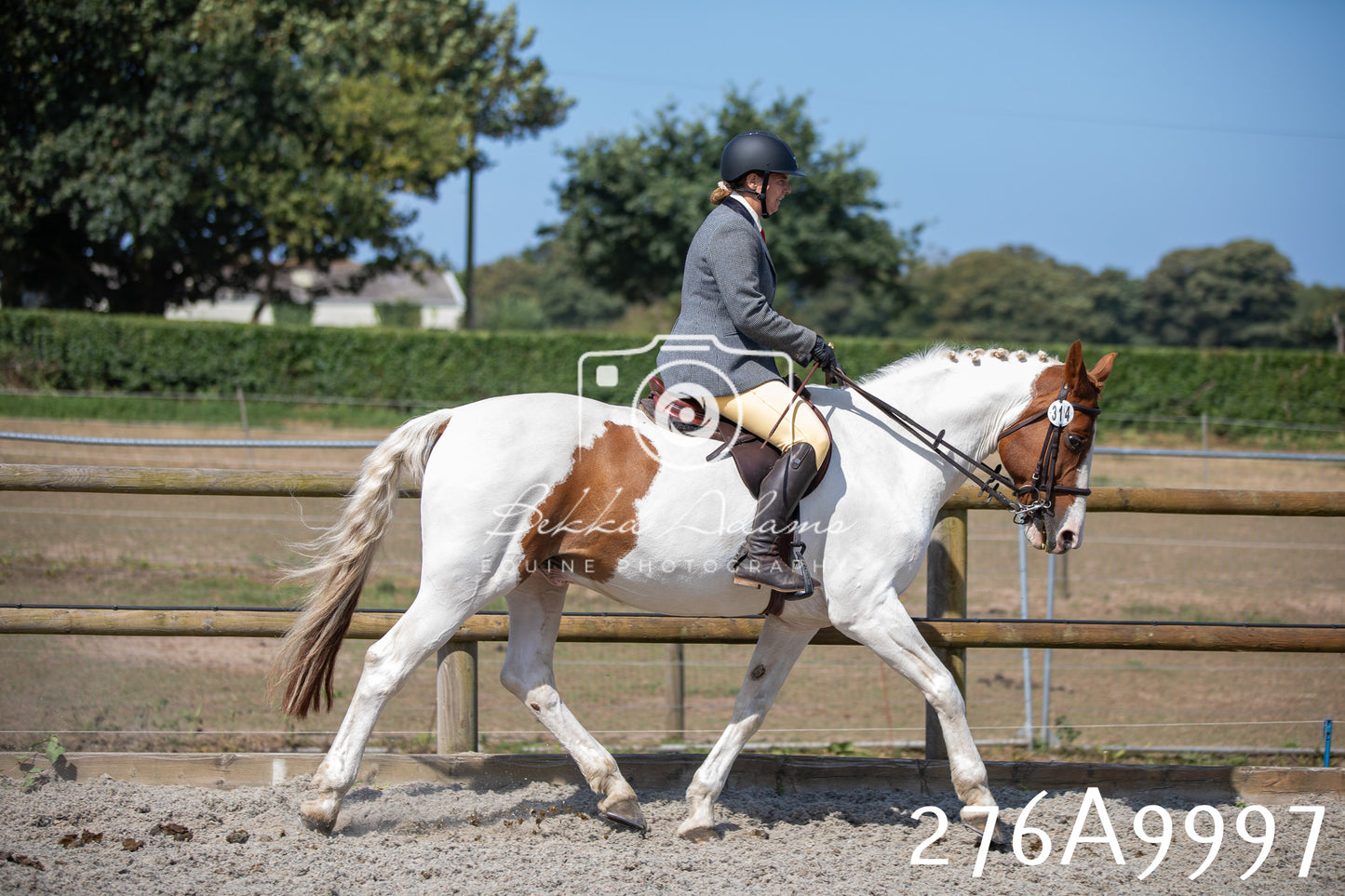 Home Farm Annual Show 2025 - Ridden Pt 2