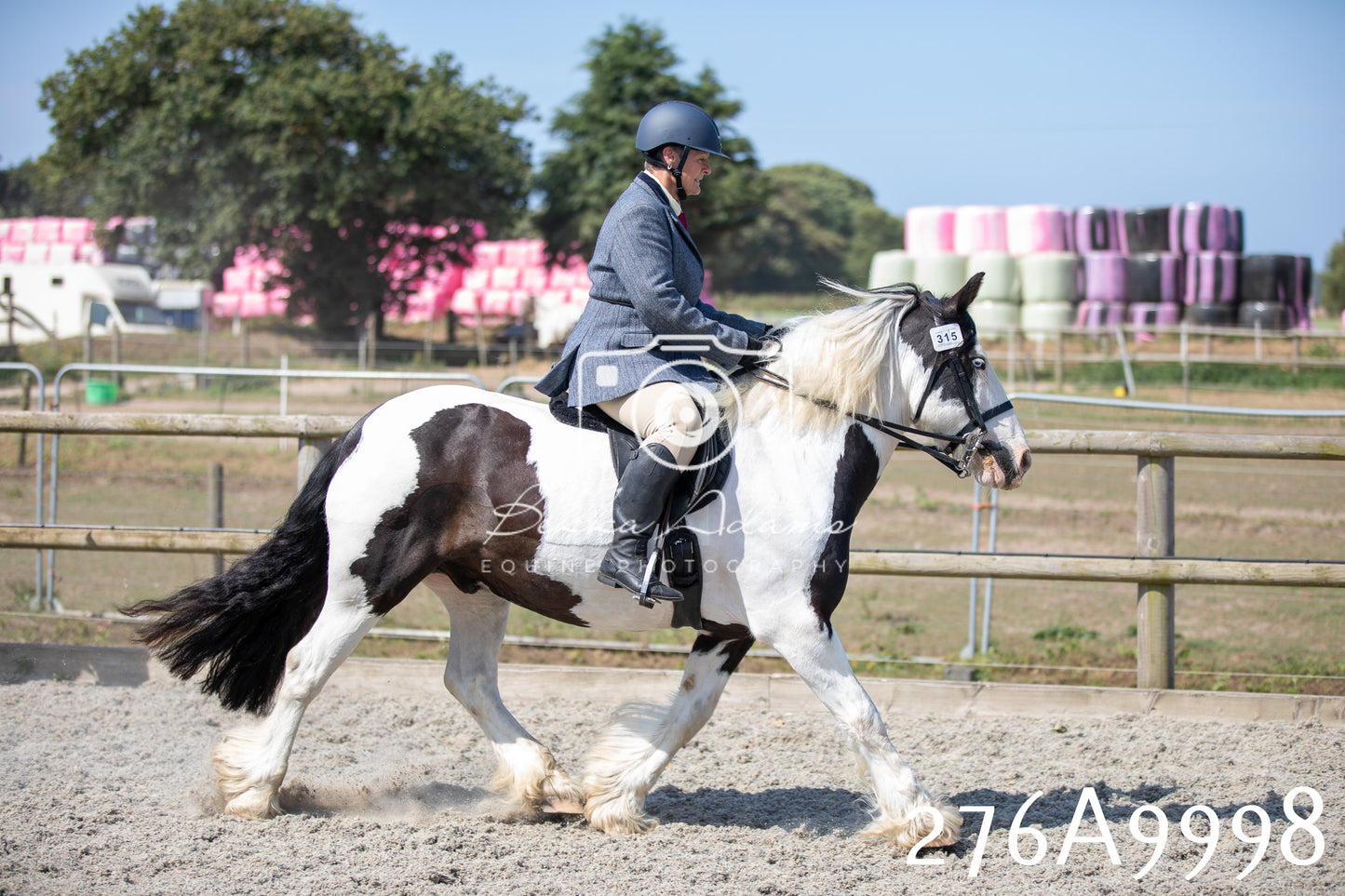 Home Farm Annual Show 2025 - Ridden Pt 2