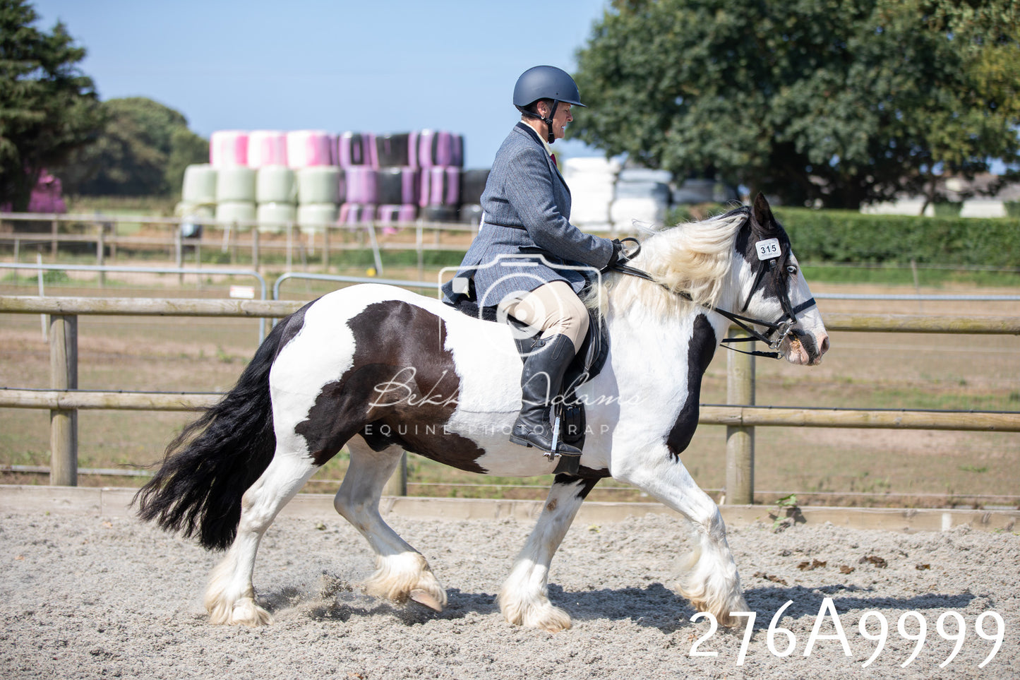 Home Farm Annual Show 2025 - Ridden Pt 2