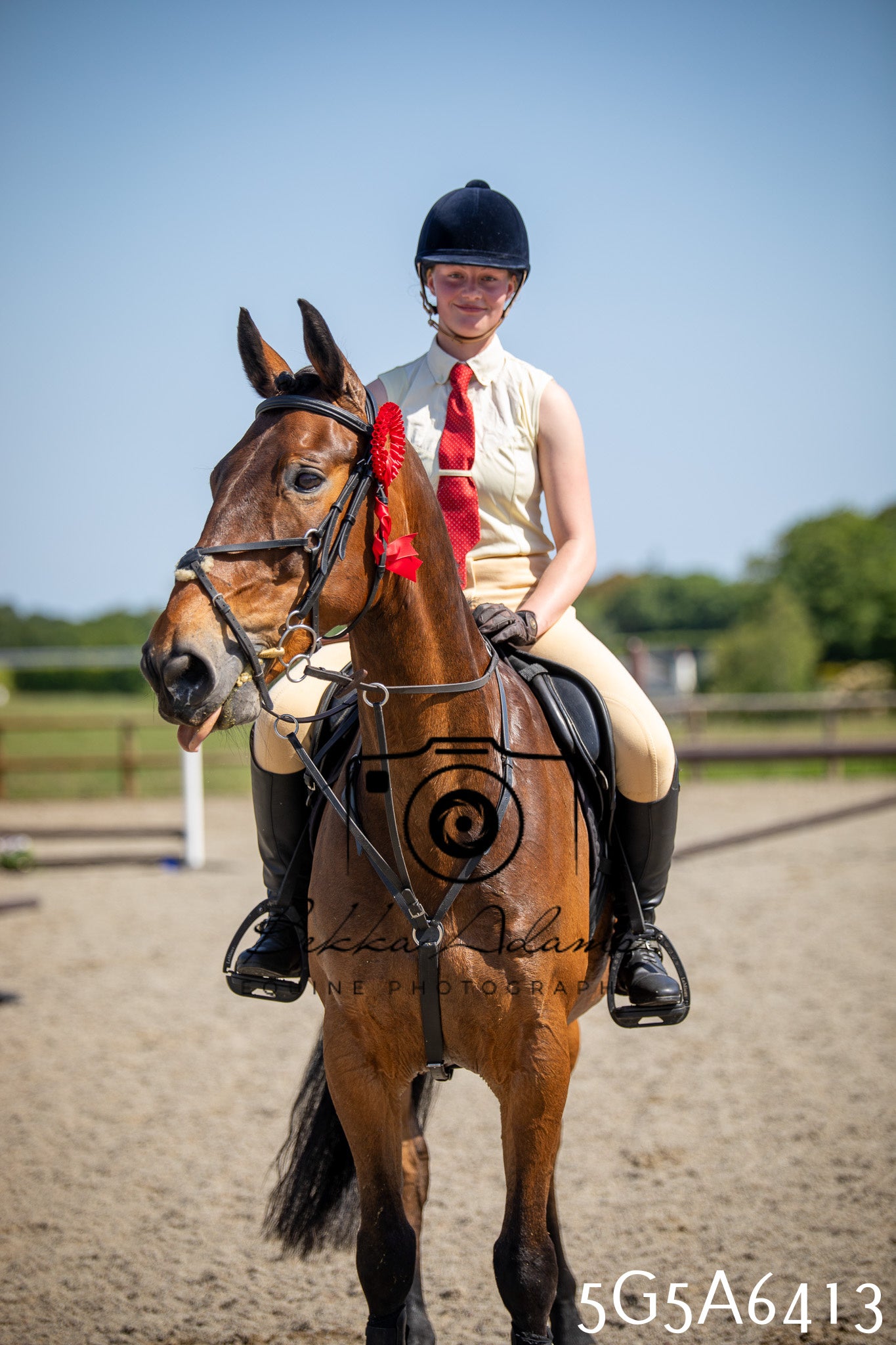 Home Farm Working Hunter 24th May 2026