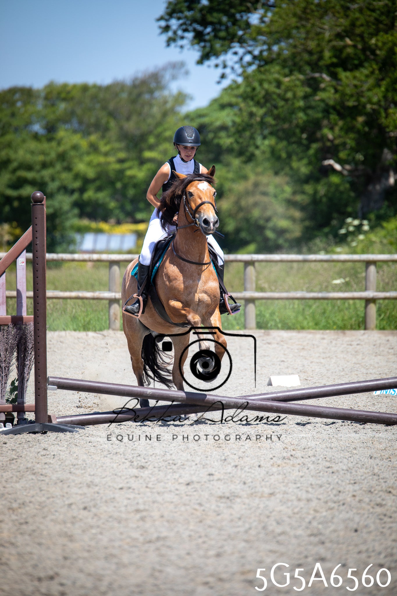 Home Farm Show Jumping 24th May 2026