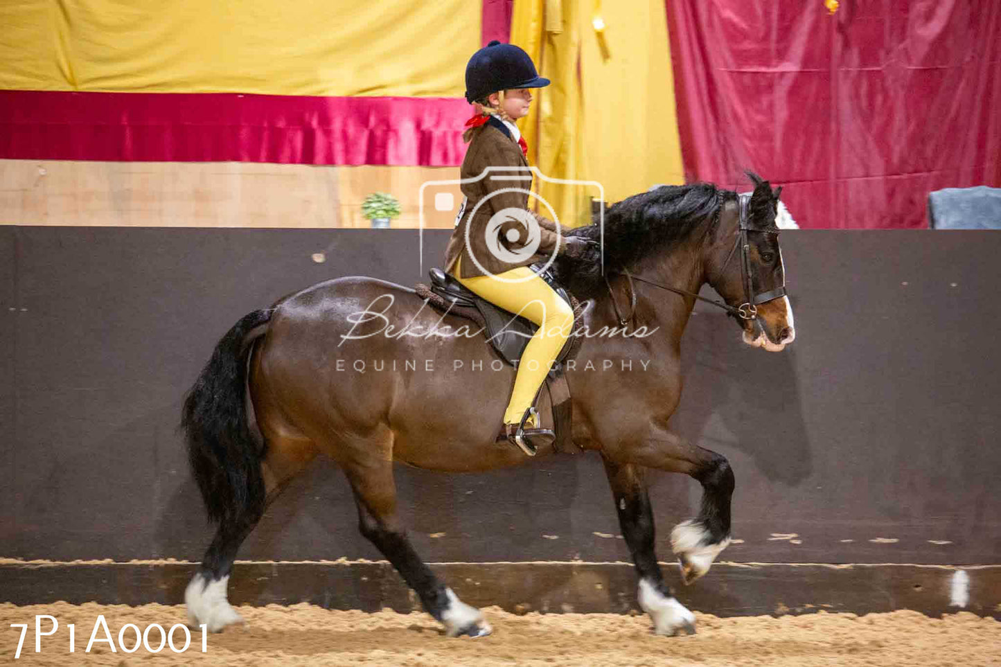 Home Farm Spring Show - Ridden Showing 24th March 2024 - Part 1