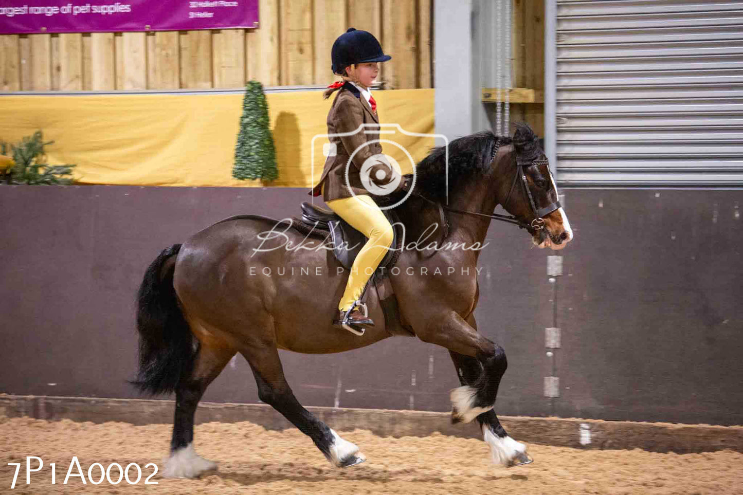 Home Farm Spring Show - Ridden Showing 24th March 2024 - Part 1
