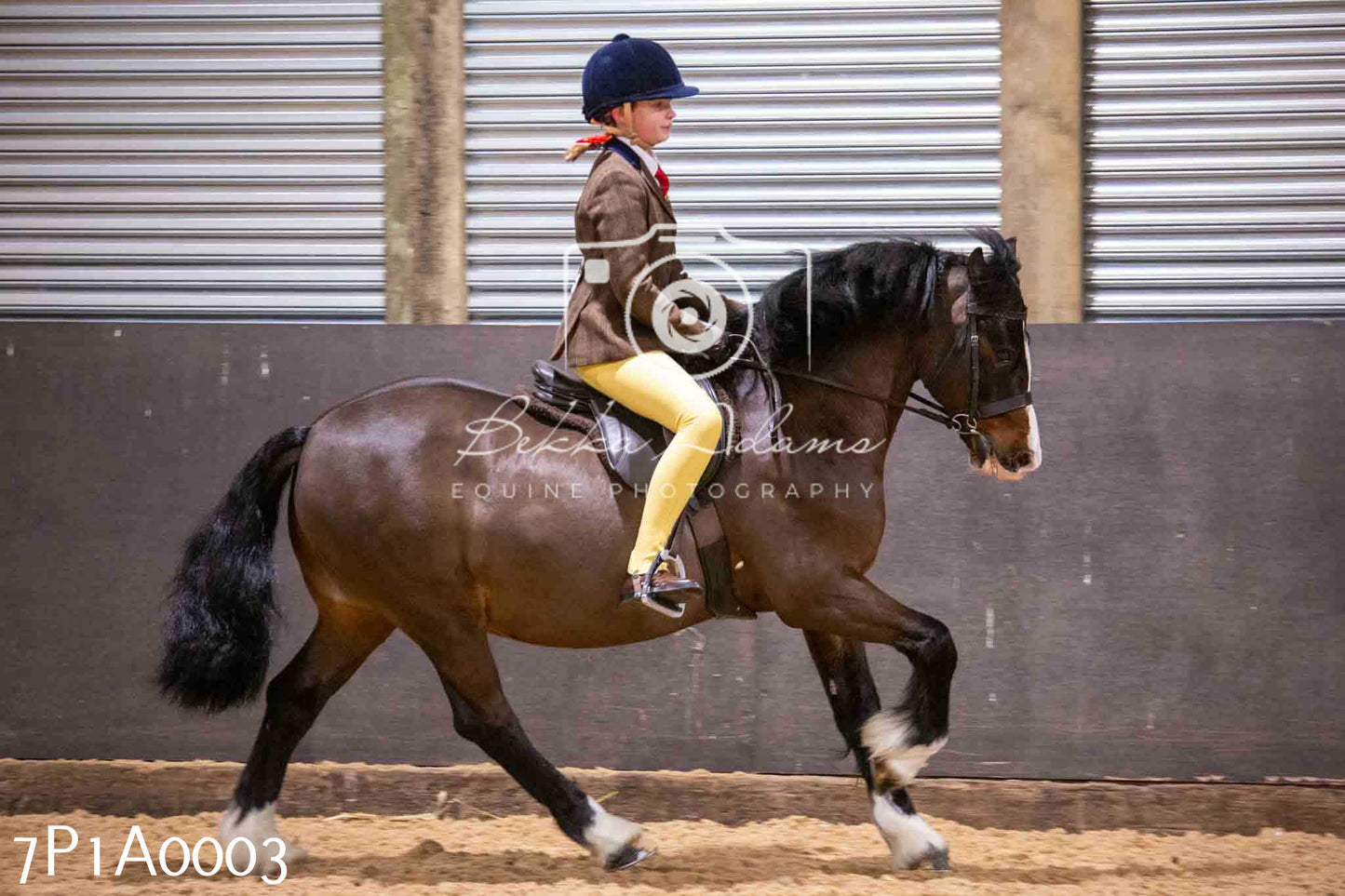 Home Farm Spring Show - Ridden Showing 24th March 2024 - Part 1