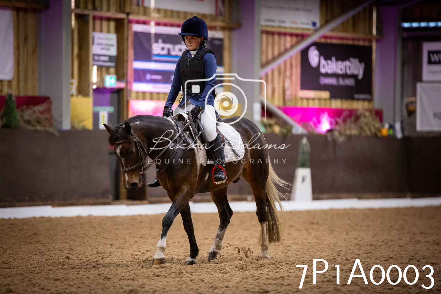 JHOYS 2025 - Dressage - 13th September