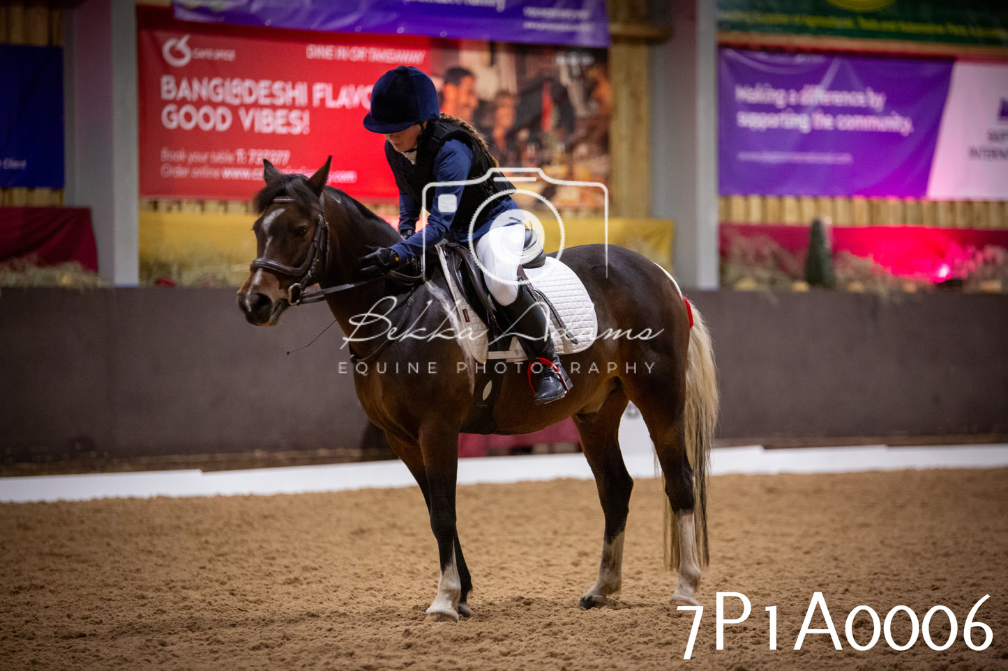 JHOYS 2025 - Dressage - 13th September