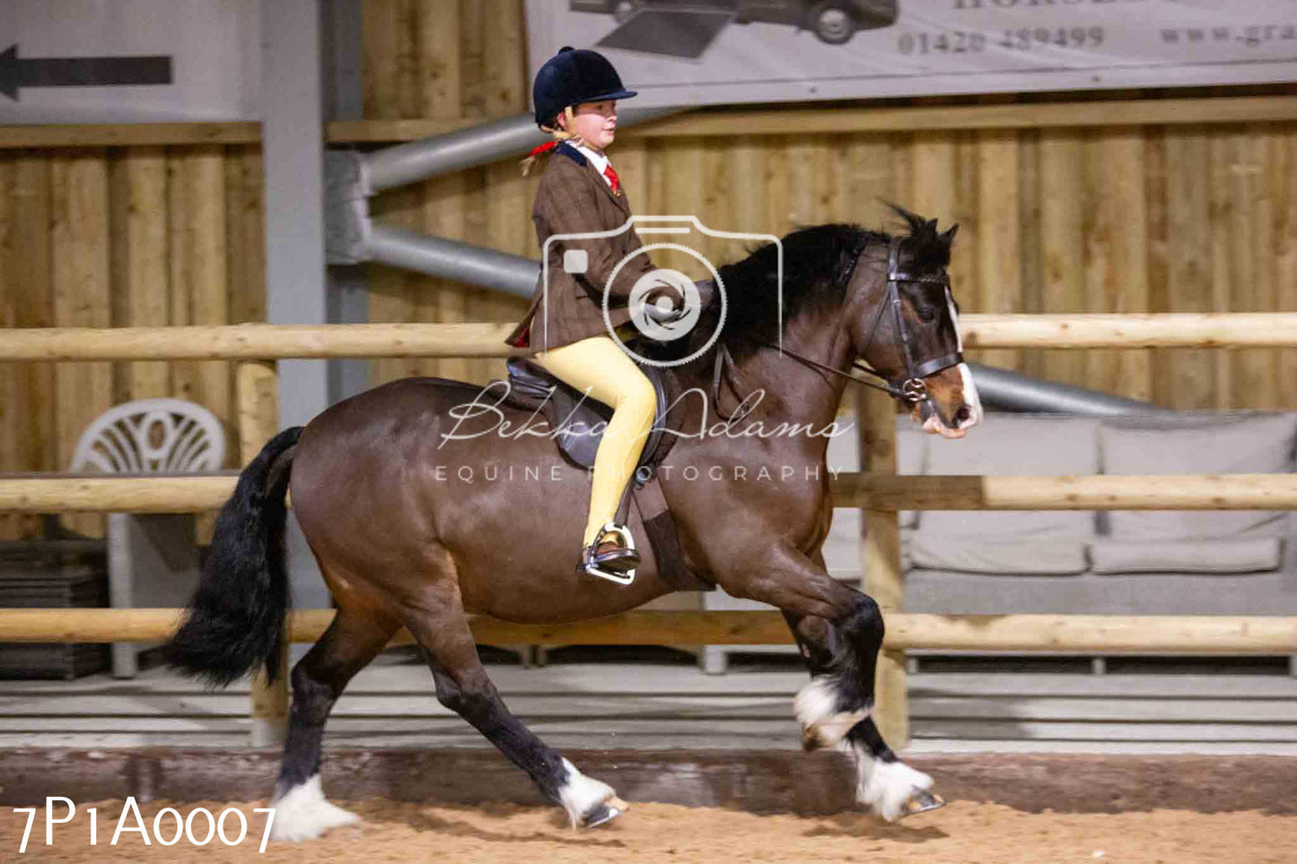 Home Farm Spring Show - Ridden Showing 24th March 2024 - Part 1