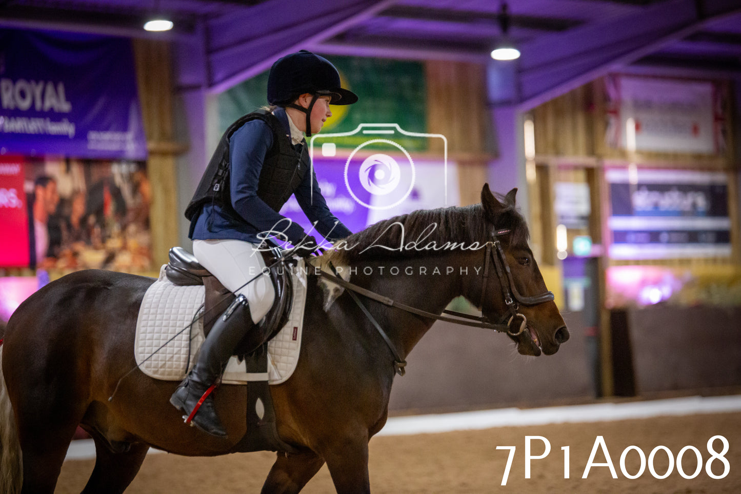 JHOYS 2025 - Dressage - 13th September
