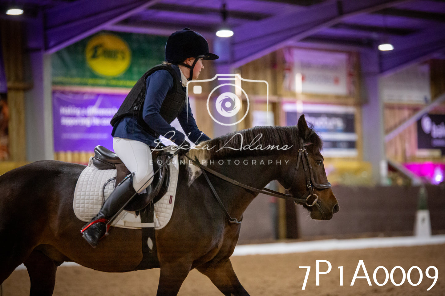 JHOYS 2025 - Dressage - 13th September
