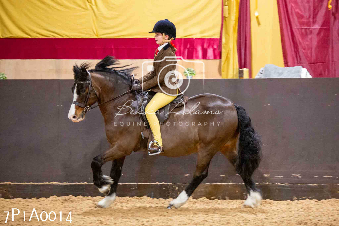 Home Farm Spring Show - Ridden Showing 24th March 2024 - Part 1
