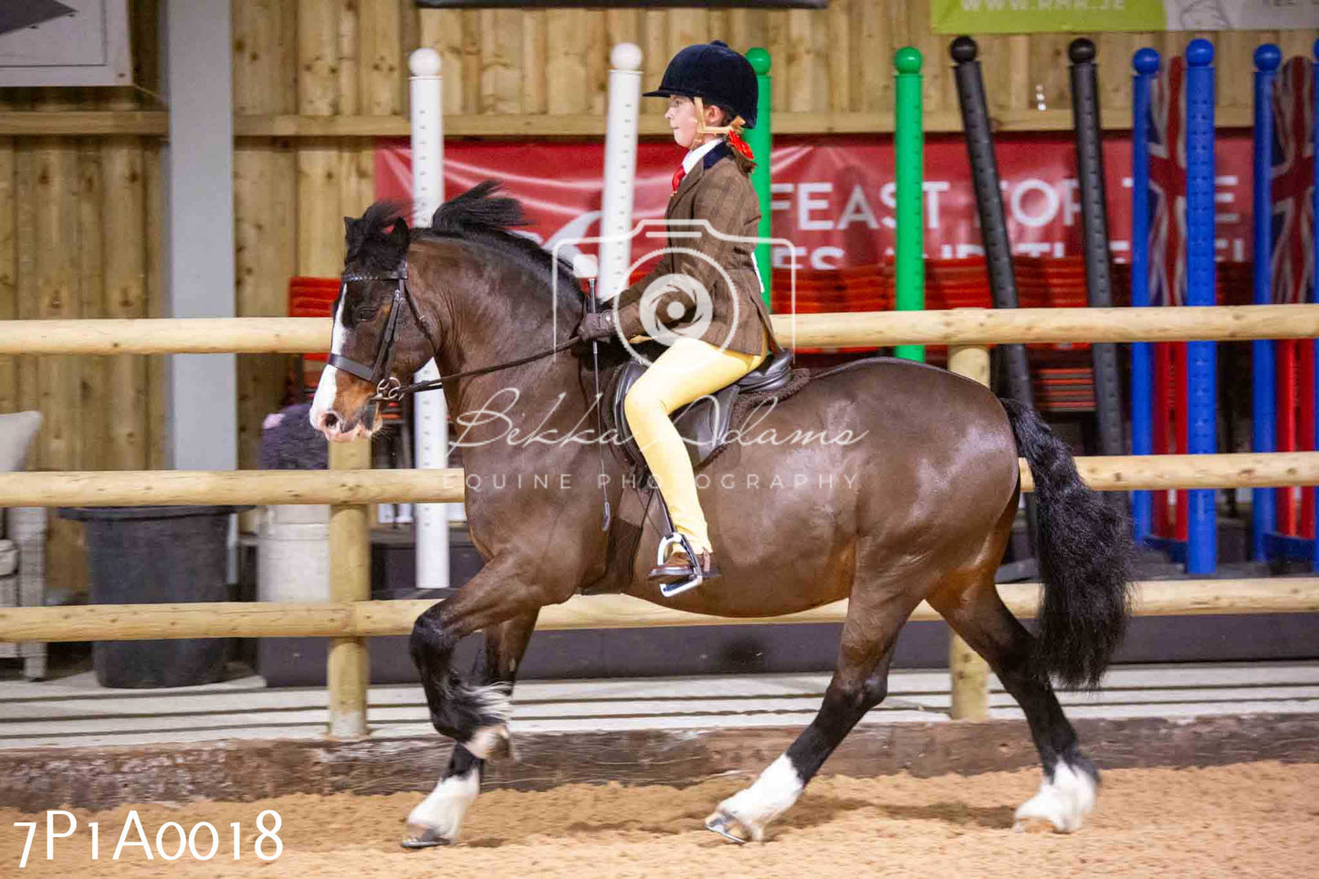 Home Farm Spring Show - Ridden Showing 24th March 2024 - Part 1
