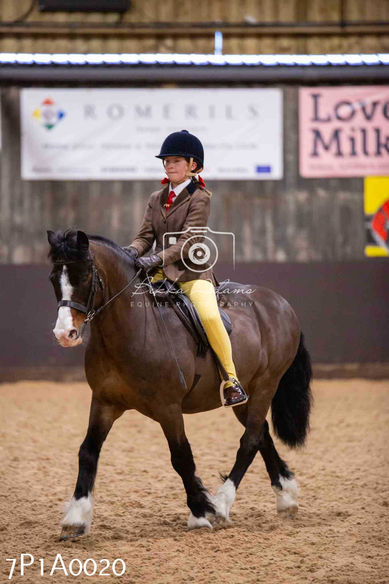 Home Farm Spring Show - Ridden Showing 24th March 2024 - Part 1