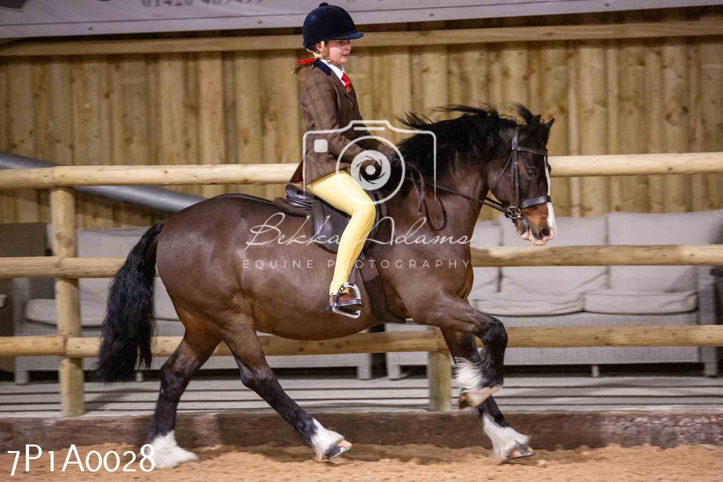 Home Farm Spring Show - Ridden Showing 24th March 2024 - Part 1