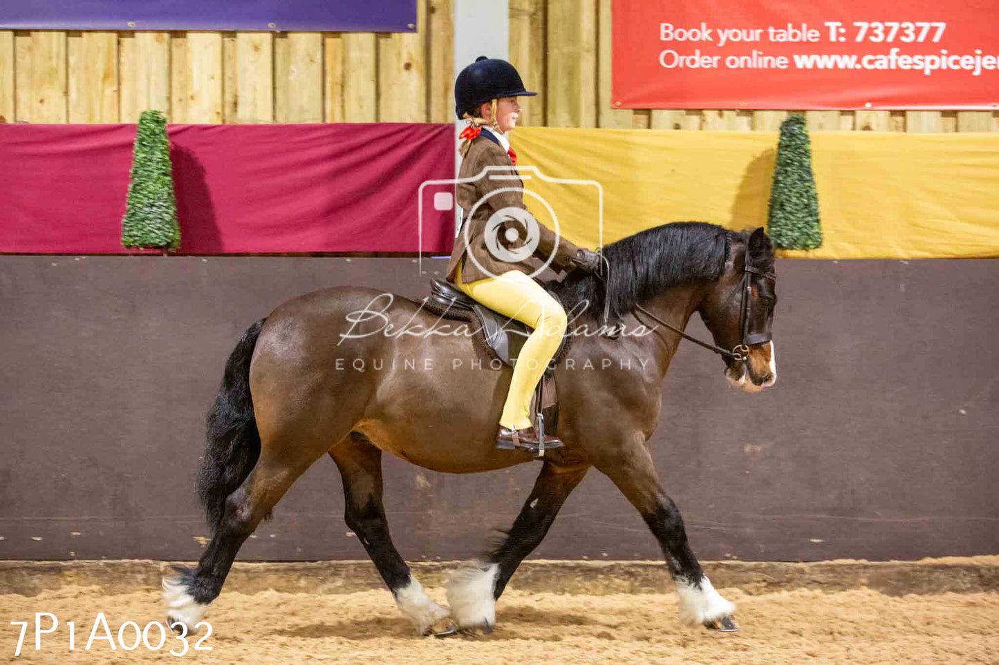 Home Farm Spring Show - Ridden Showing 24th March 2024 - Part 1