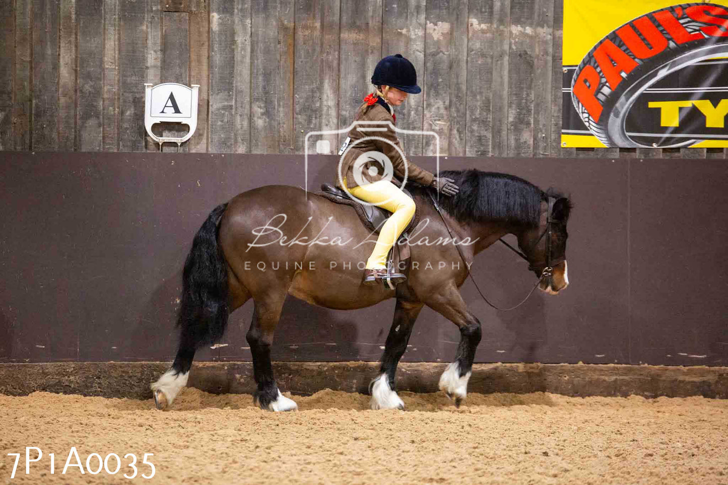 Home Farm Spring Show - Ridden Showing 24th March 2024 - Part 1