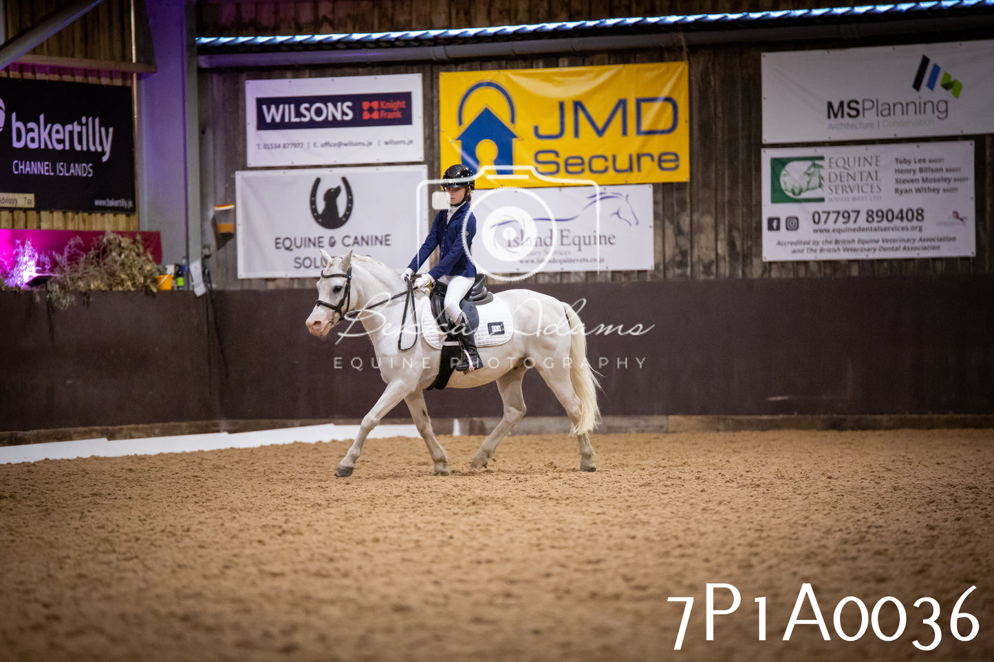 JHOYS 2025 - Dressage - 13th September