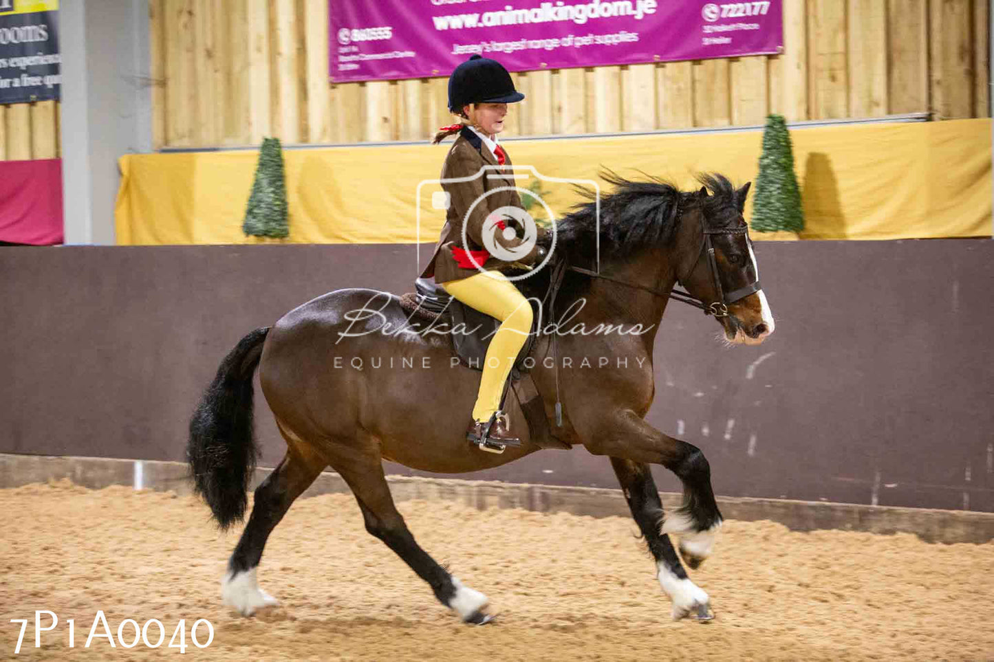 Home Farm Spring Show - Ridden Showing 24th March 2024 - Part 1