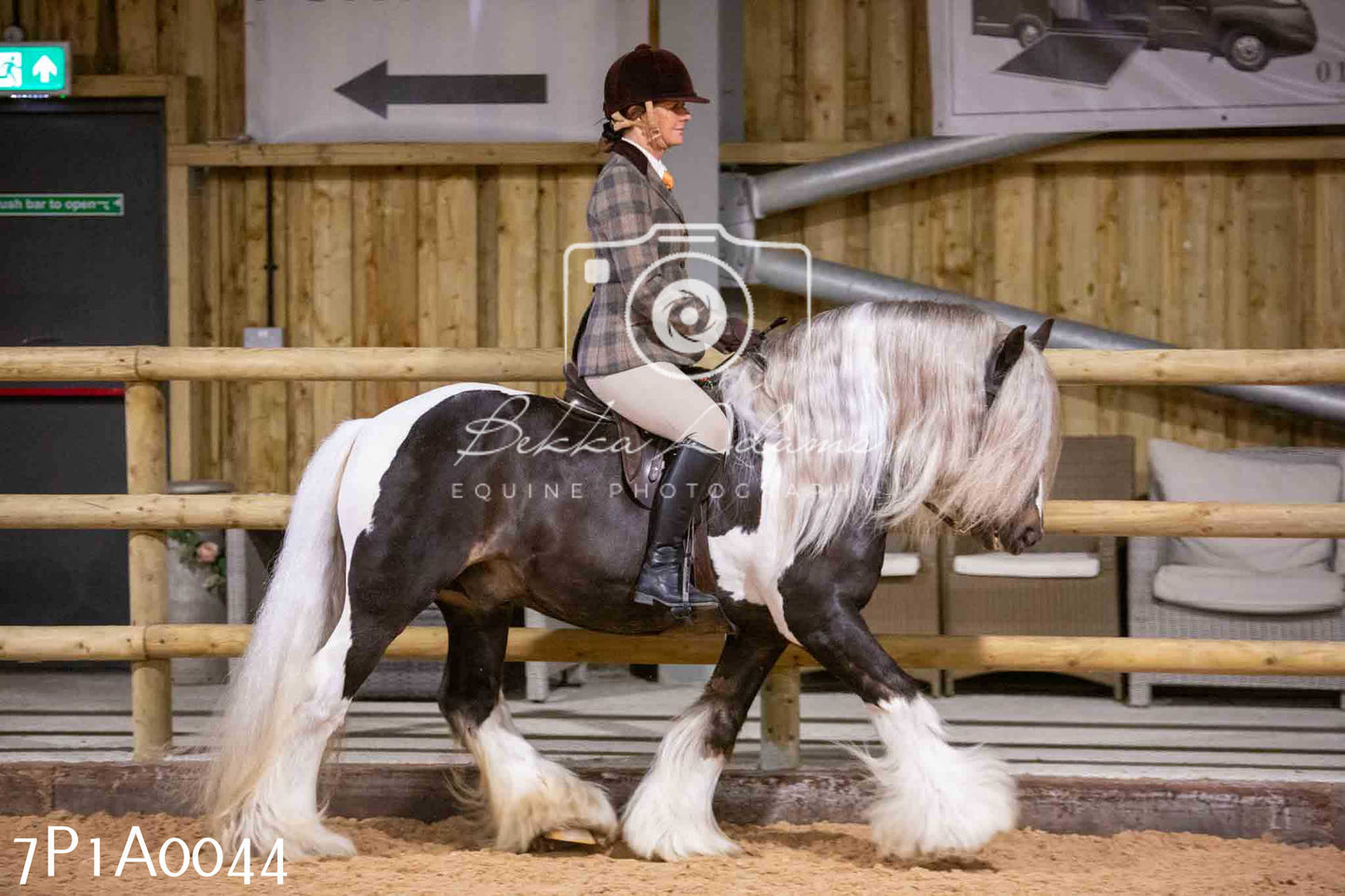 Home Farm Spring Show - Ridden Showing 24th March 2024 - Part 1