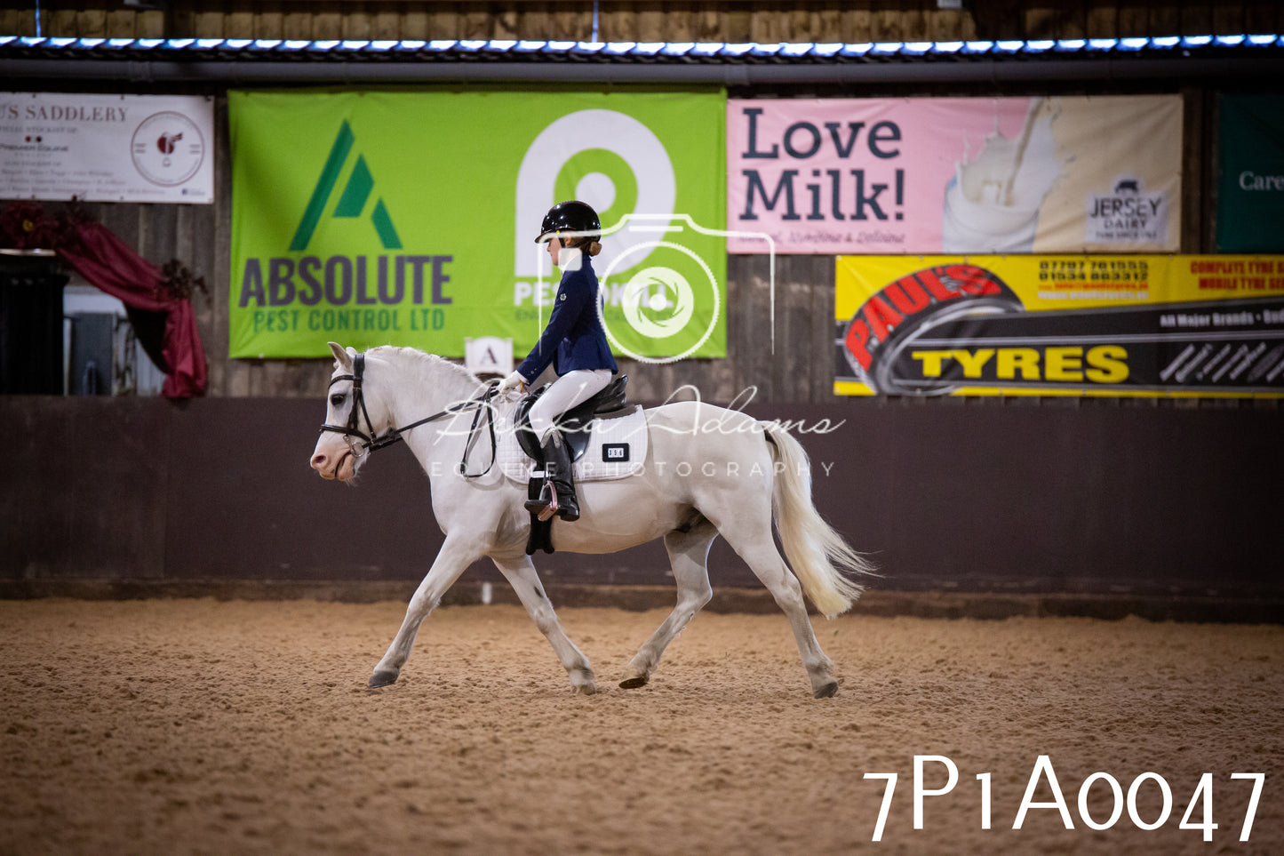 JHOYS 2025 - Dressage - 13th September