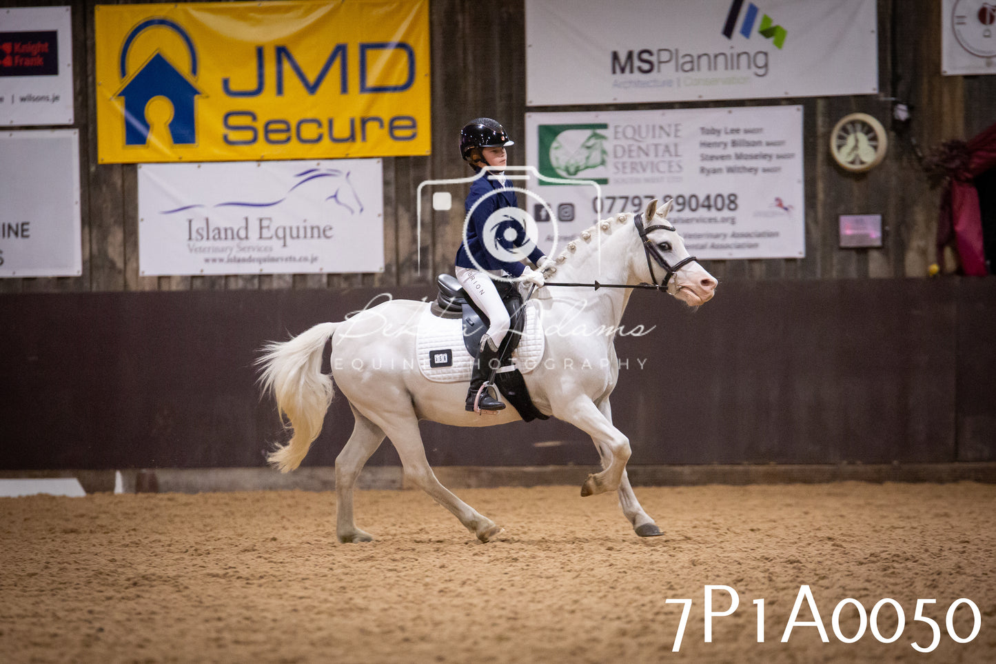 JHOYS 2025 - Dressage - 13th September