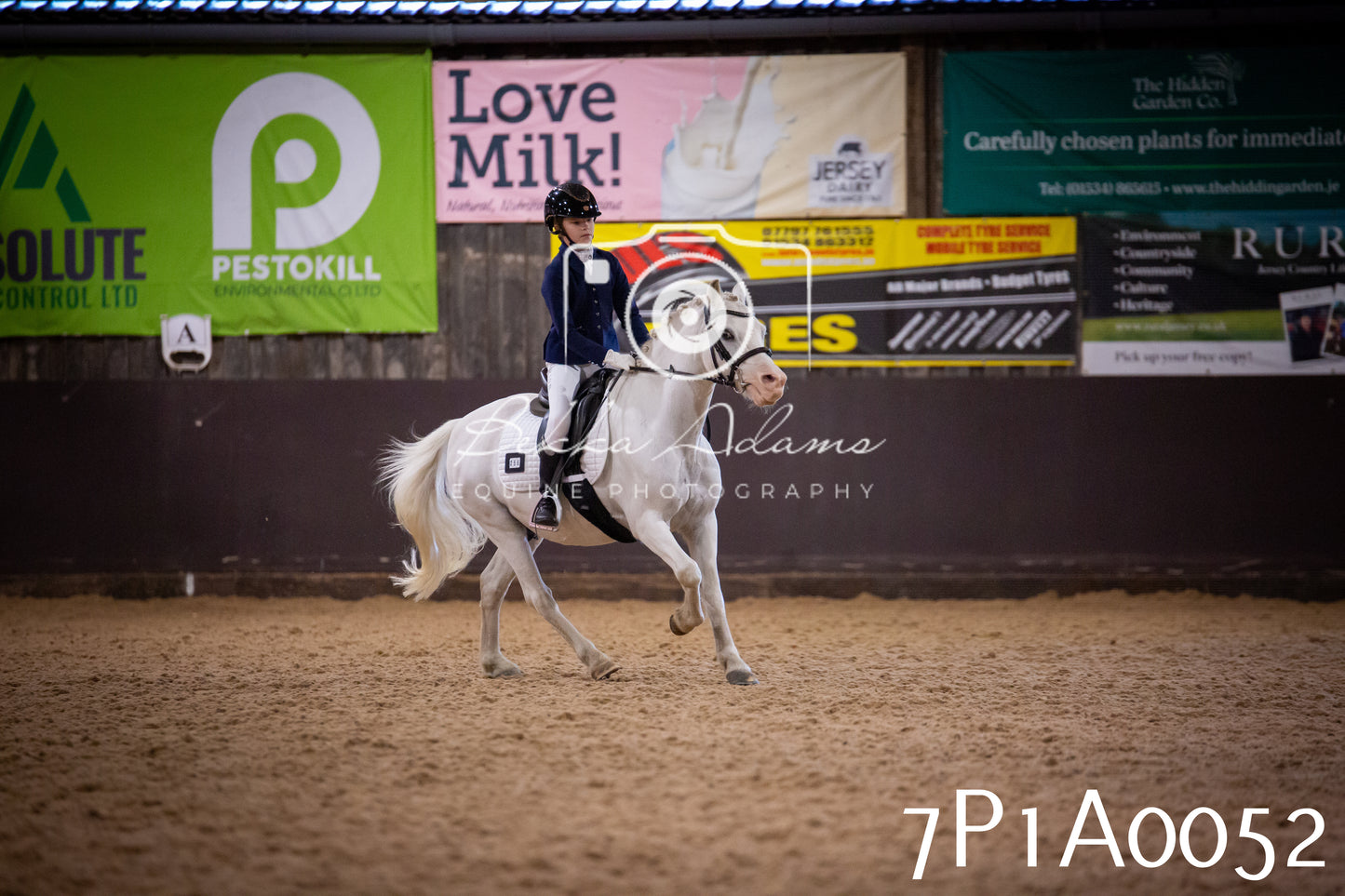 JHOYS 2025 - Dressage - 13th September