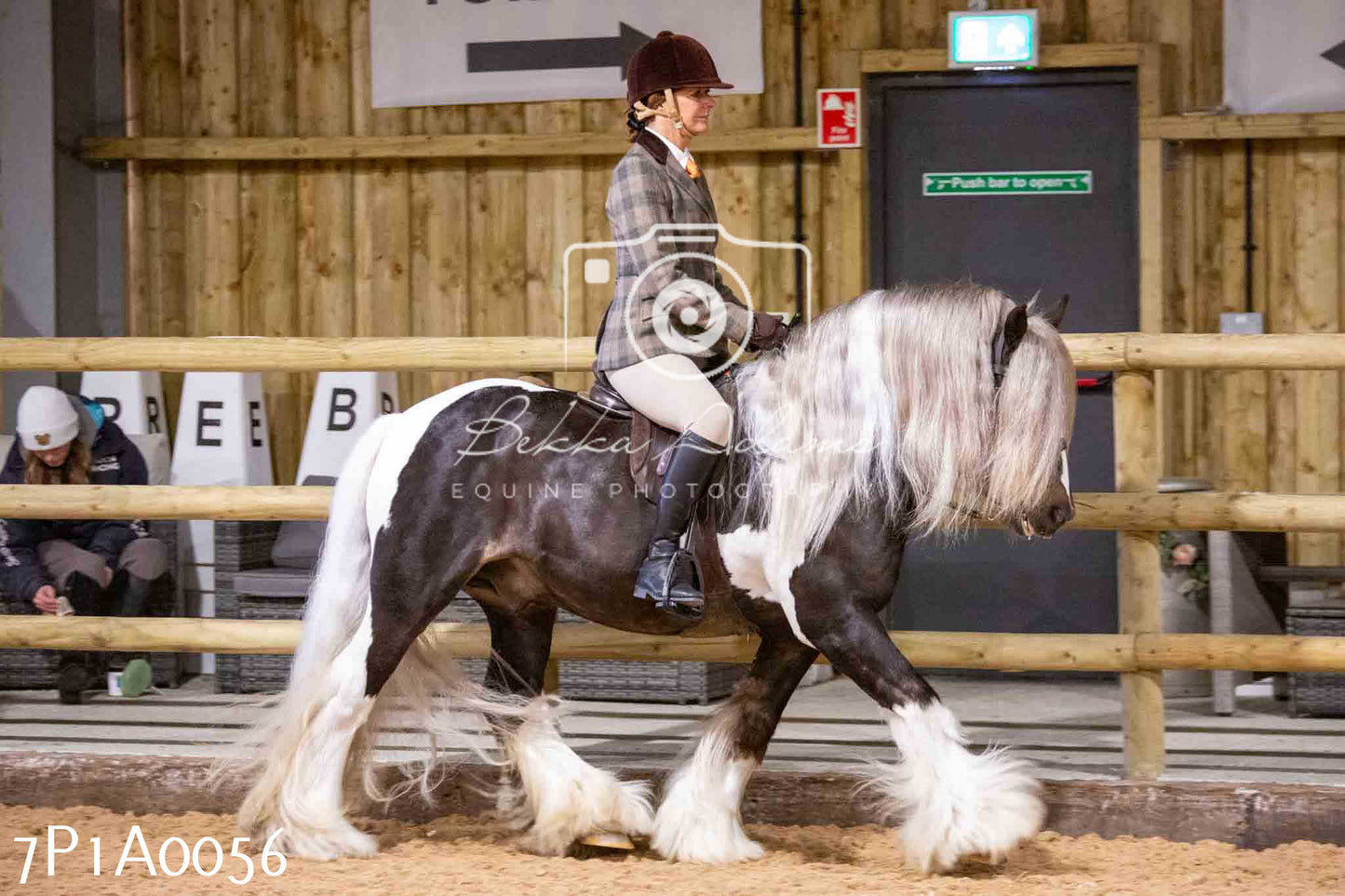 Home Farm Spring Show - Ridden Showing 24th March 2024 - Part 1
