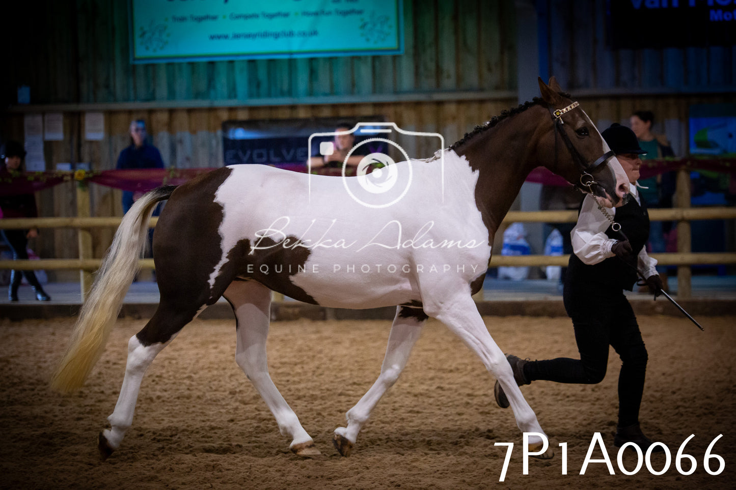 JHOYS 2025 - In hand Showing - 27th September pt1