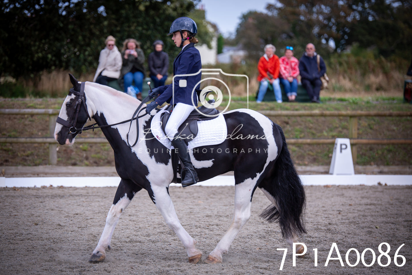 JHOYS 2025 - Dressage - 13th September