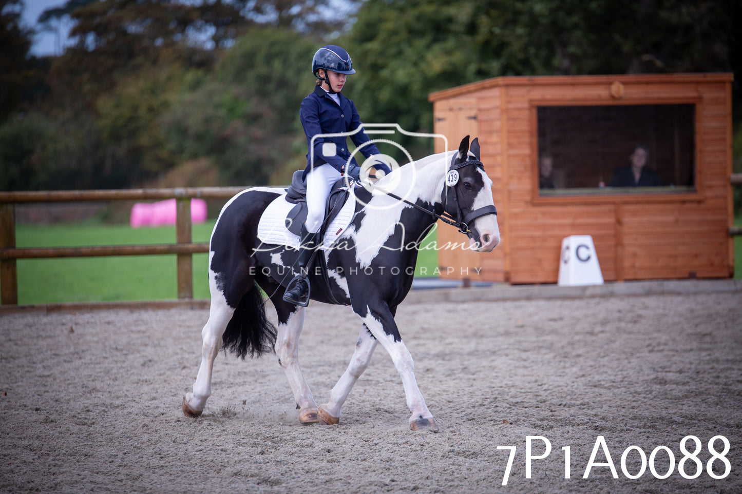 JHOYS 2025 - Dressage - 13th September