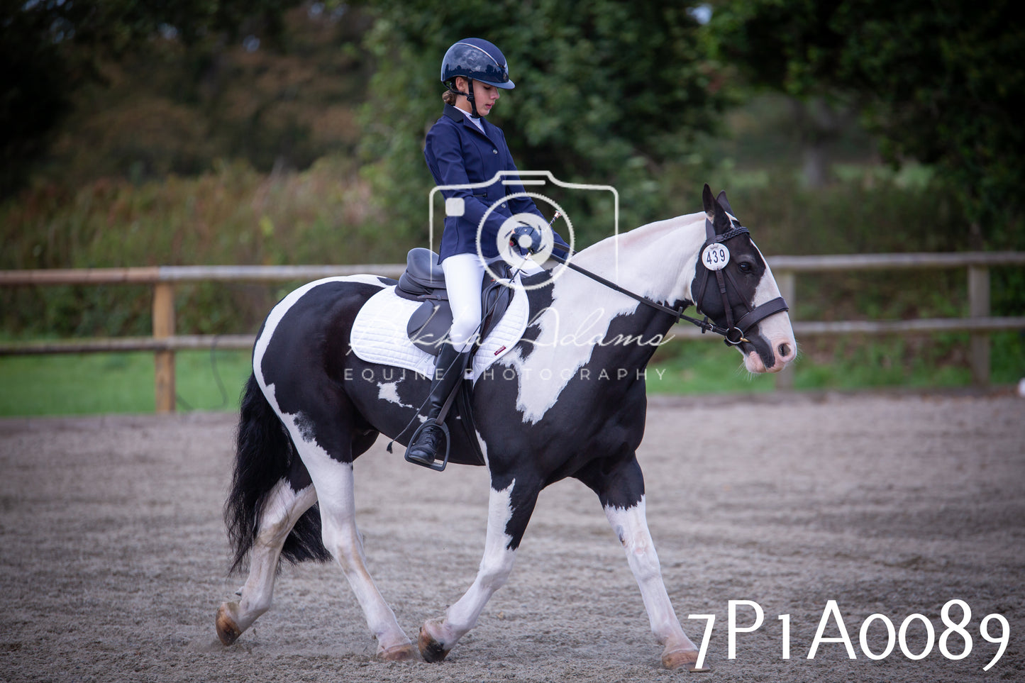 JHOYS 2025 - Dressage - 13th September