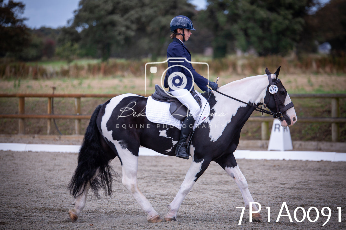JHOYS 2025 - Dressage - 13th September